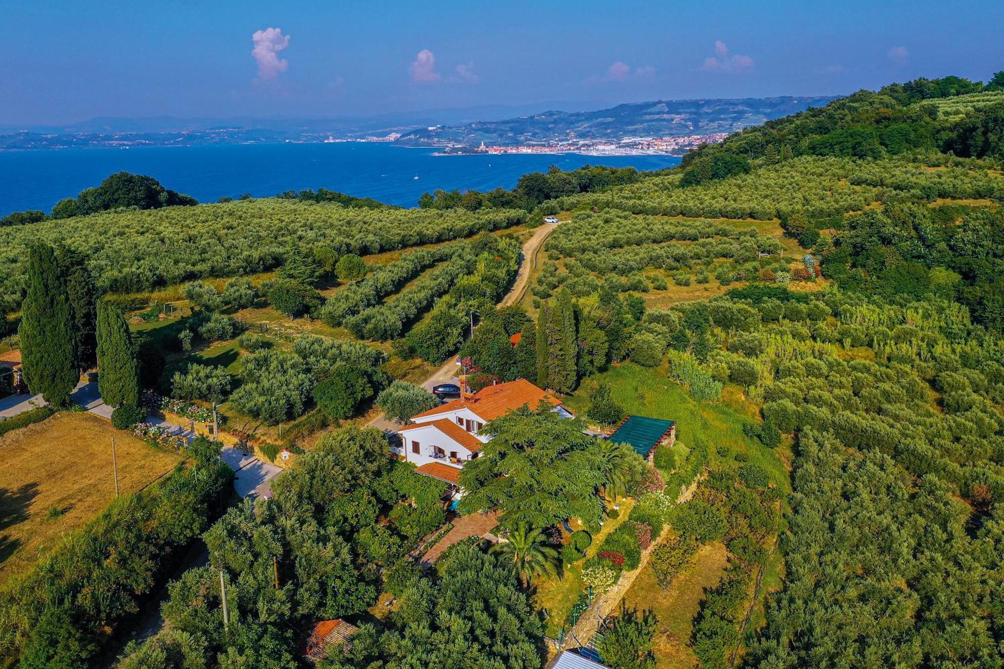Апартаменти House Olive Garden Струнян Екстер'єр фото
